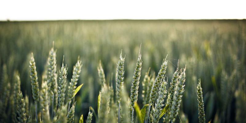 数字孪生赋能未来：柔性生产线在机械加工与非标设备制造中的规划与实施