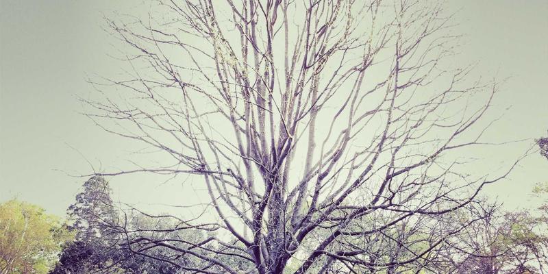 新华机械深度解析：模具与非标设备加工精度的关键影响因素