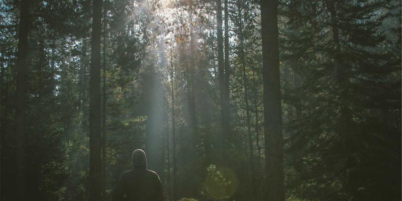 新华机械：深耕精密机械加工与模具制造，驱动现代工业高质量发展