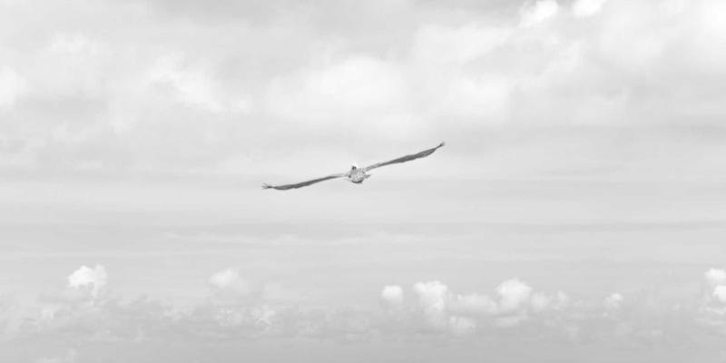 新华机械精密加工指南：冷却液科学选择、高效使用与环保处理全攻略