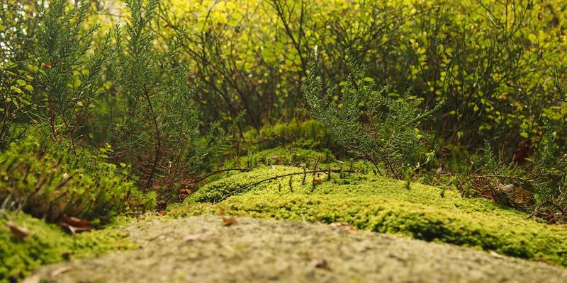 智能制造浪潮下，工业制造与模具机械加工的数字化转型路径