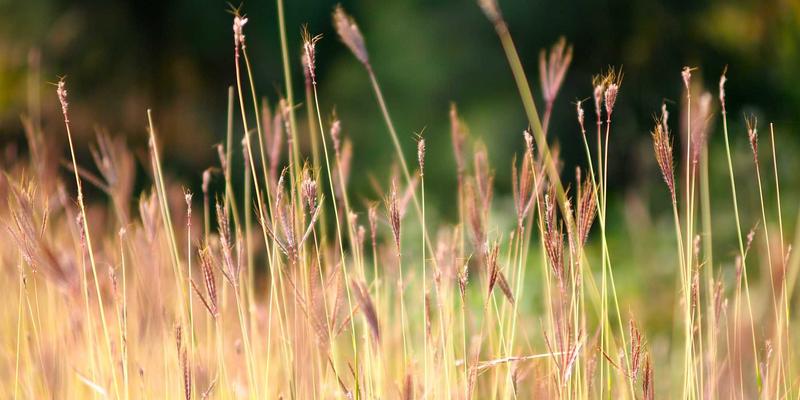 机械加工78：工业制造升级中的精密引擎与新华机械的创新实践