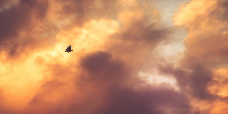 机械加工86：非标设备制造的创新密码与新华机械的实践之路