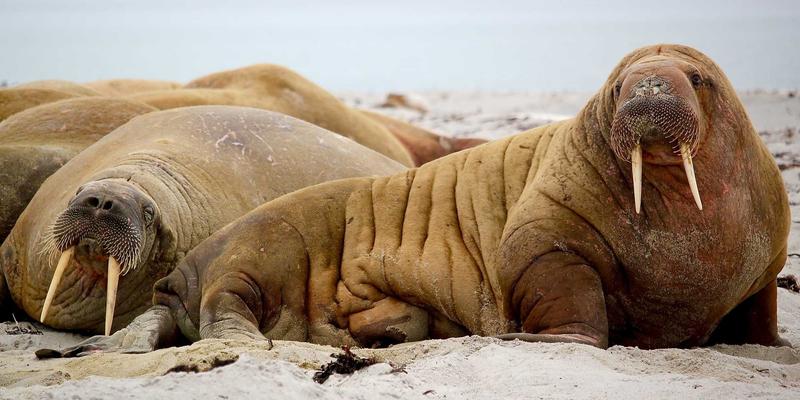 机械加工96：设备制造、模具与精密加工的技术融合与产业升级