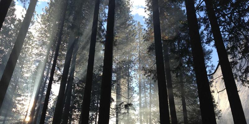 机械加工攻略：从标准工艺到非标设备，新华机械的制造智慧