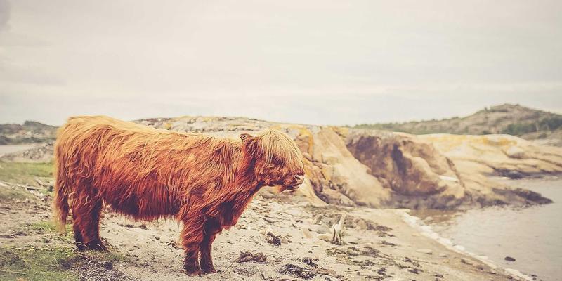 模具制造与工业制造中的机械加工误差分析与补偿技术：如何将零件一次合格率提升至98%以上