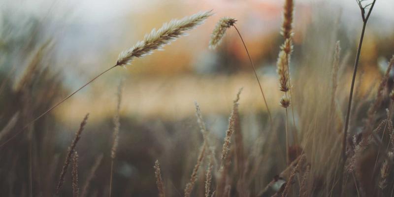 设备制造与精密加工中切削液的科学选择、高效维护与环保处理全指南